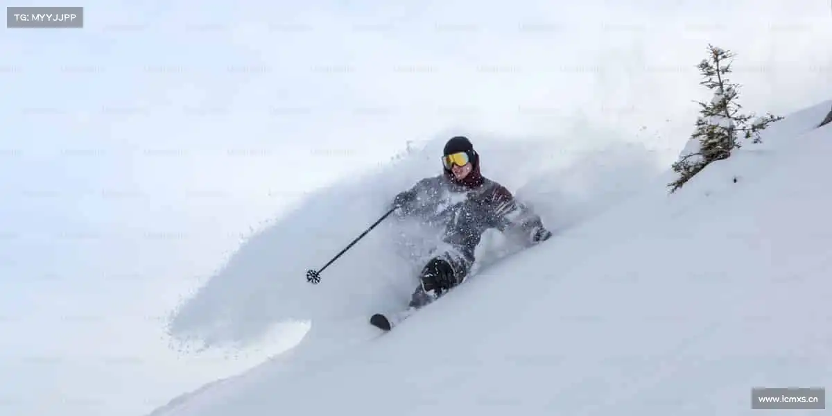 我们的核心竞争力